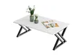 LuxusKollektion Couchtisch Couchtisch Holz Weiß Schwarz 100x48x55cm Marmor Metallgestell