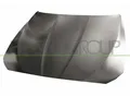 PRASCO Motorhaube bm0483100 für BMW
