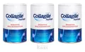 (EUR 90,97/kg) 3er-Pack - Collagile - Collagile Human - 3 x 300g Dose