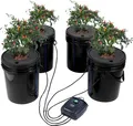 VEVOR DWC Hydroponics Grow System, Hydroponisches Anbausystem, Deep Water Culture 5 Gallonen 4 Eimer, DWC-System mit Luftpumpe, Luftsteinen und Wasserstandsanzeige für Blattgemüse