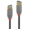 Lindy 3m USB 3.2 Typ A Verlängerungskabel, 5GBit/s, Anthra Line USB Typ A Stecker an A Kupplung (36763)