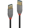Lindy 3m USB 3 Typ A Verlängerungskabel, Anthra Line 36763 USB-Kabel, (3.00 cm)