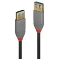 Lindy W128370676 832444 3M Usb 3.2 Type A Extension  Cable, Anthra Line ~E~