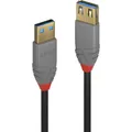 LINDY USB-Kabel USB 3.2 Gen1 USB-A Stecker, USB-A Buchse 3.00 m Schwarz 36763