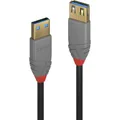 LINDY USB-Kabel  USB 3.2 Gen1 USB-A Stecker, USB-A Buchse 3.00 m Schwarz  36763