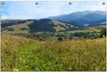 Wallario Outdoor-Poster für Garten oder Balkon, Motiv Bergwiese in den Karpaten, in ca. 80 x 120 cm