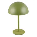 Reality Munoz Tischlampe Grün R54891115