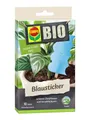 Compo Insektenvernichter Compo Bio Blausticker gegen Thripse 10 Stück
