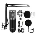5906453180595 Studio and streaming microphone MT397S silver Media-Tech