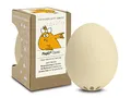 PiepEi Classic Beige - Singende Eieruhr zum Mitkochen - Eierkocher für 3 Härtegrade - Piep Ei mit 3 Melodien - Lustiges Kochei - Musik Eggtimer - Brainstream