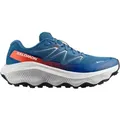 Salomon Herren Ultra Flow 2 GTX blau 43.3