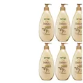 6 x Garnier Body Lotion Beauty Oil 24H Pflegende Milch & wertvollen Ölen | 4 Öle