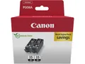 CANON PGI-35, PIXMA IP100, 2 Tintenpatronen schwarz 1509B029