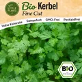 Kerbel Samen (BIO) - 300 Samen Kräutersamen Kerbelsamen FineCut
