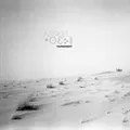Assikel [Vinyl LP]