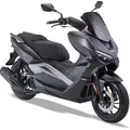 LuXXon Silvermax Motorroller - City Roller mit 125 ccm - 9,8 PS für max. 85 kmh - Grau