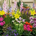 Blumenzwiebeln Mehrjährig Winterhart - All Summer Budget Kollektion - 50 Zwiebeln - Echte Pflanzen aus Holland für Garten und Topf (große Knollen, kein Samen, nicht künstlich)