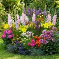 Blumenzwiebeln Winterhart Mix - All Summer Kollektion - 50 Stück - Mehrfarbig