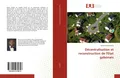 Décentralisation et reconstruction de l'Etat gabonais Sylvain-Ulrich Obame Buch