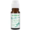 Bergland Teebaum Pickel-Tupfer bio   10 ml