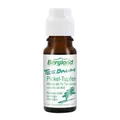 2x TEEBAUM PICKELTUPFER 100% Natur 10 ML