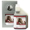 Alfavet PulmoAlfa Horse, Saft zur Unterstützung der physiologischen Abwehrkräfte der Atemwege, Ergänzungsfuttermittel für Pferde, 500ml Dosierflasche