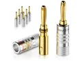 deleyCON deleyCON 8x Bananenstecker Schraubbar für Lautsprecherkabel von PC-Lautsprecher