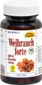 Espara Weihrauch forte Kapseln, 60 St. Kapseln