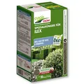 Cuxin DCM Spezialdünger für Ilex 1,5 kg Taxusdünger Osmanthus Ilexdünger