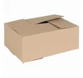 vidaXL Geldkassette Faltbox mit Speicher 50 pcs Natur 25 x 17,5 x 10 cm Karton (50 St)