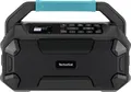 TechniSat VIOLA 231 OD Baustellenradio DAB+, UKW DAB+, UKW, Bluetooth spritzwassergeschützt Schwarz