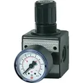 Riegler Druckregler »multifix«, inkl. Manometer, BG 1, G 1/4, 0,5-16 bar