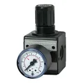 Riegler Druckregler "multifix", inkl. Manometer, BG 1, G 1/4, 0,5-16 bar
