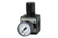 RIEGLER 100418-R 11-16 Druckregler »multifix«, inkl. Manometer, BG 1, G 1/4, 0,5-16 bar, 1Stk