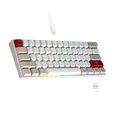 Newmen GM610 Gaming Tastatur Kabellos,60% Prozent Mechanische Tastatur Bluetooth/2.4Ghz/Mit Kabel,61 Tasten RGB Beleuchtung Hot Swap Anti Ghosting TKL Mini QWERTY Keyboard für PC/Win/Mac,Blue Switches