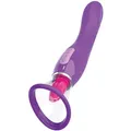 Fantasy For Her Ultimate Pleasure 3-in-1-Stimulator - Purple