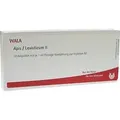 Apis/Levisticum II 10X1 ml Ampullen