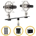 Stereo Kleinmembran Kondensator Studio Mikrofon Pair Schiene Spinne Case Set