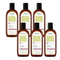 alkmene 6x Brennnessel Haarwasser mit Provitamin B5 250 ml - Brennessel Haarbalsam bei empfindliche Kopfhaut - Haartonikum, Kopfhaut Pflege, Brennessel Haarwasser, Haarwasser Frauen & Männer