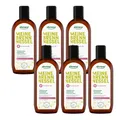 alkmene 6x Brennnessel Haarwasser mit Provitamin B5 250 ml - Haartonikum