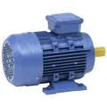 vidaXL 3-Phasen-Elektromotor Aluminium 2,2 kW 3 PS 2-Polig 2840 U/min