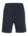 JACK & JONES JPSTBRADLEY Sweat Shorts SN GMS
