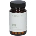 CBD VITAL MN Darmpflege