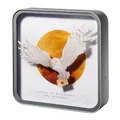 Numskull Offizielle Hedwig Acryl Logo Schreibtischlampe Wandleuchte für Schlafzimmer, Büro, Zuhause, Studium, Arbeit - Offizielles Harry Potter-Merchandise