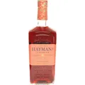 Haymans Sloe Gin 0,7l 26%