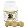 Alfavet Nausi Tab 110 g Hunde | Magen | Kautablette | Kräuter