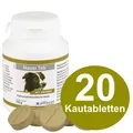 Alfavet Nausi Tab 20 Tabl. Hunde Reise Übelkeit Magen beruhigend (226,36 EUR/kg)