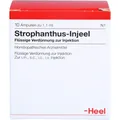 STROPHANTHUS INJEEL Ampullen 10 St PZN00980381