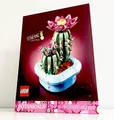 ✅ LEGO BOTANICALS (11509) Blühender Kaktus / Flowering Cactus NEU & OVP 🌵