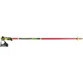 LEKI Herren Alpin-Skistock WCR Lite SL 3D